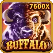 Buffalo game cover